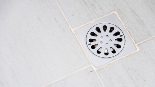 Why Your Shower Drain Smells Like Sewage And How To Fix It