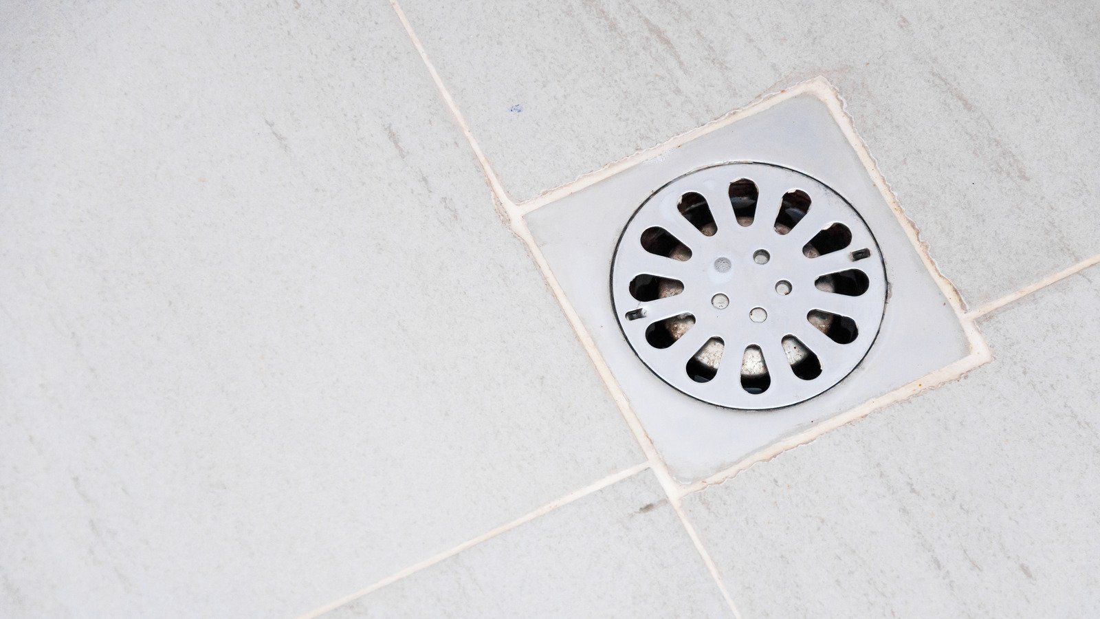 Why Your Shower Drain Smells Like Sewage And How To Fix It | Flipboard