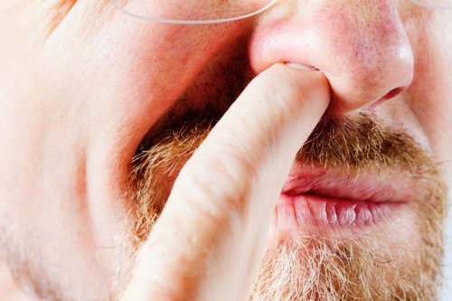 Here’s How Gross It Really Is To Pick Your Nose