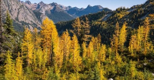 Washington Wonders: Must-See Destinations in the Evergreen State