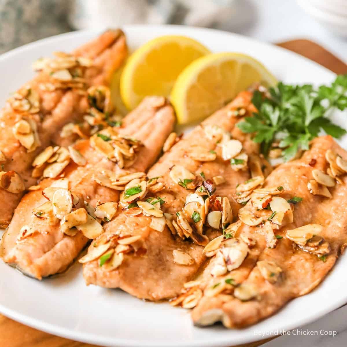 Catch of the Day: A delicious collection of fish recipes perfect for every day!