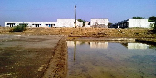 What really happened during the violence at Dharasana Salt Works?