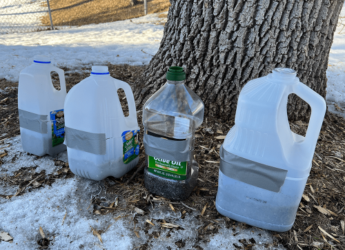 Age-Old Gardening Tricks That Still Work Like a Charm