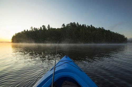 Can you guess what this mysterious fish lurking in the water is?