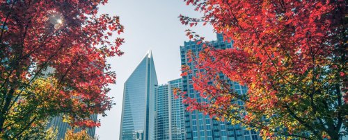 U.S. Cities to Visit This Fall