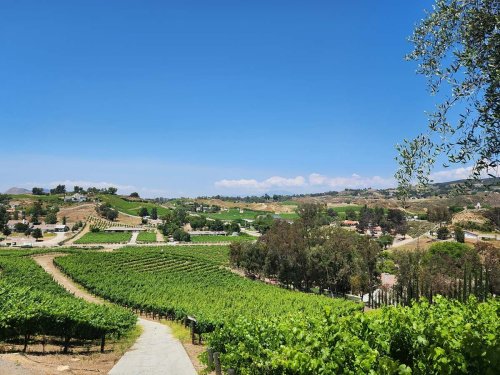 Raise a Glass to California's Best Wine Regions 🍷