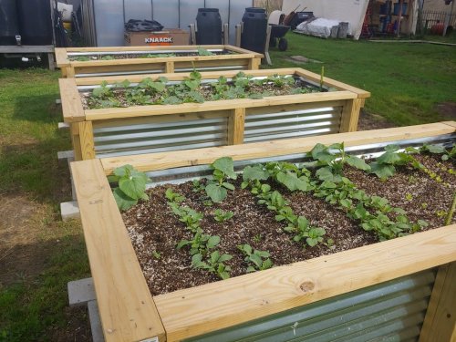 14 Raised Garden Bed Plans for Building the Perfect Plot
