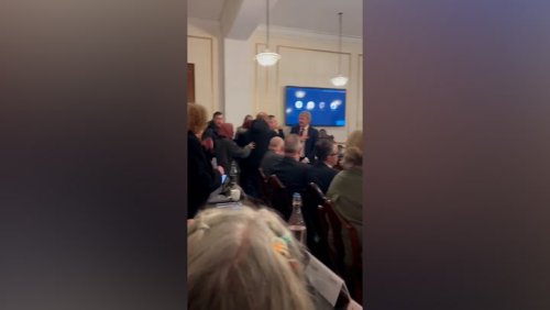 Pro-Palestine protesters storm council meeting as Tory councillor tries to restore order