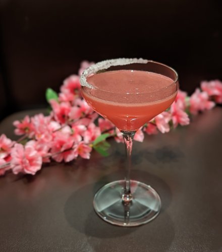 Celebrating Japanese Cherry Blossoms