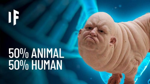 What If We Created Hybrid Human-Animals?