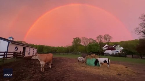 'Pure Magic': Farm Animals Chill Under Double Rainbow in New York State