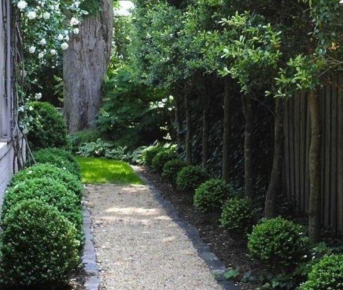 Magazine - Garden Design Tips & Ideas