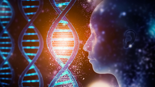 Archaeology: 'Mystery population' of human ancestors gave us 20% of our genes