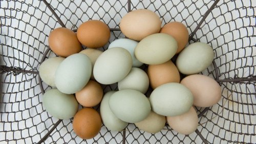 What Really Happens When You Eat Expired Eggs?