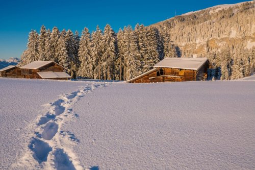 5 Reasons to Visit Switzerland in the Winter