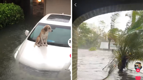  The Heartbreaking Damage From Hurricane Ian On Florida's Gulf 