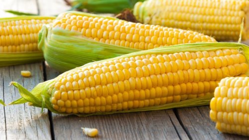 The Real Reason You Shouldn't Boil Corn On The Cob 