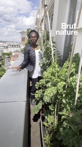 En ville, elle cultive 60 fruits et légumes sur son petit balcon