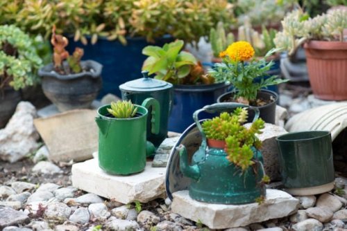 10 Sustainable Gardening Trends to Try in 2022