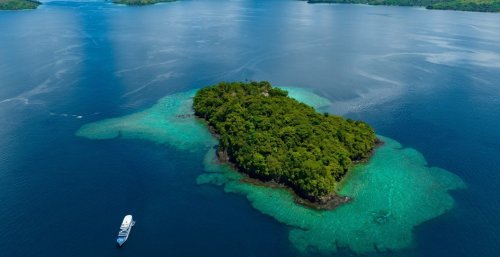 Wanna live on a remote island? Consider this resident's warning