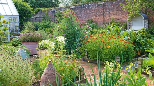 Your ultimate guide to victory gardens