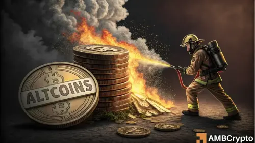 Altcoin market's crash - What next?
