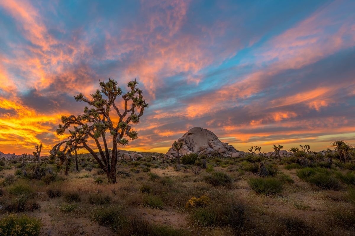 Things To Do In Or Around Joshua Tree National Park