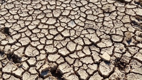 Global Food Crisis Looms: Campaigners Urge Urgent Action to Protect Depleting Soil at COP28