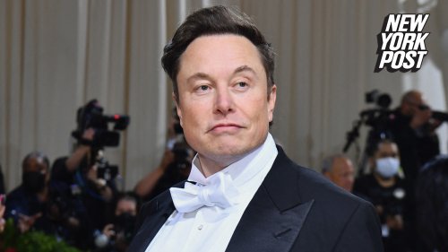 Elon Musk calls accuser 'far left' actress, dares her to describe unique part of his body