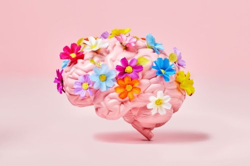 Magazine - PSYCHOLOGY | EMOTION
