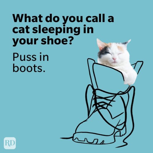 Hundreds of Great Jokes for April 1st