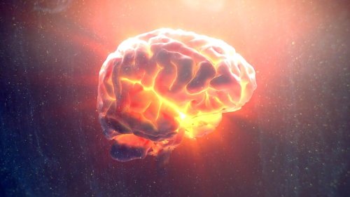 This New Signal Type in the Brain Has Never Been Discovered Until Now