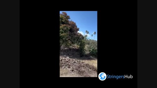 Tonga: Footage Of Devastating Aftermath Of Volcanic Eruption And Tsunami 4