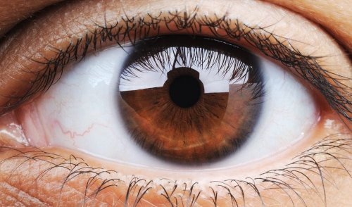 What Your Eye Color Suggests About Your Health