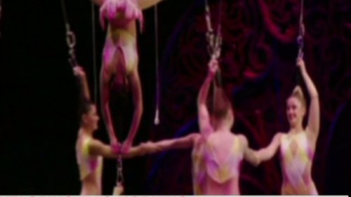 Circus fined $7,000 for hair-hanging stunt