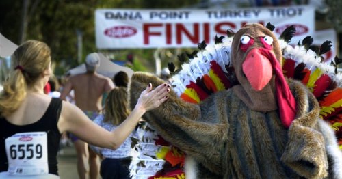 The science behind Thanksgiving turkey trots