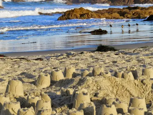 California Cruisin': Unveiling the Best of the Golden State