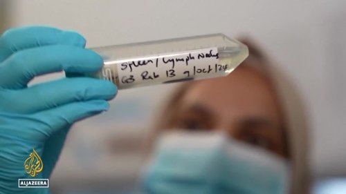Preventing HIV in South Africa: A promising new jab could replace pills