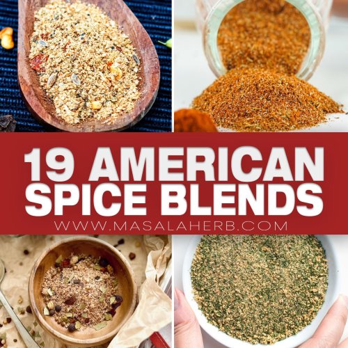 19 Must-Try American Spice Blends That Add Magic to Your Cooking