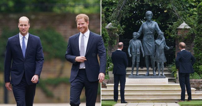 Harry and William pictured side by side as they reunite to unveil Diana statue