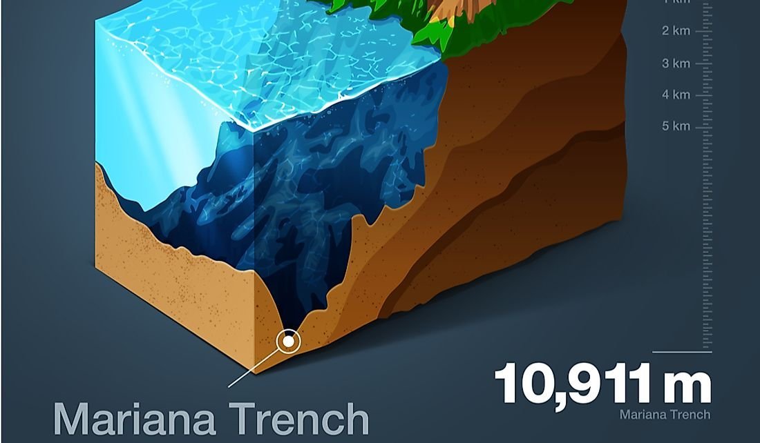 The Mariana Trench Is 7 Miles Deep: What’s Down There?