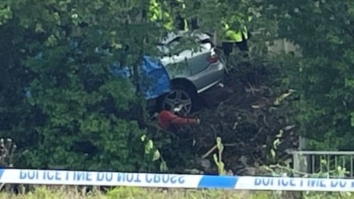 Three people - all believed to be young men - die in "terrible" car crash