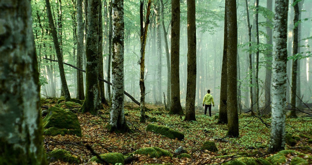 How to survive the woods, according to a survival educator