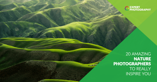 Celebrating Earth Day as a Photographer
