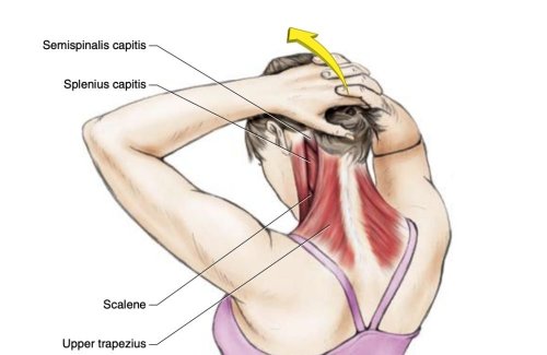 11 Best Stretches To Relieve Neck and Shoulder Tension, Says a PT