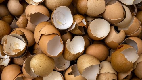 Don't Ever Throw Out Your Eggshells Again