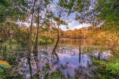The Best Outdoor Spaces In Florida for Nature Lovers