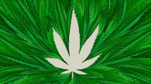4/20 brings marijuana legalization in the U.S. into focus