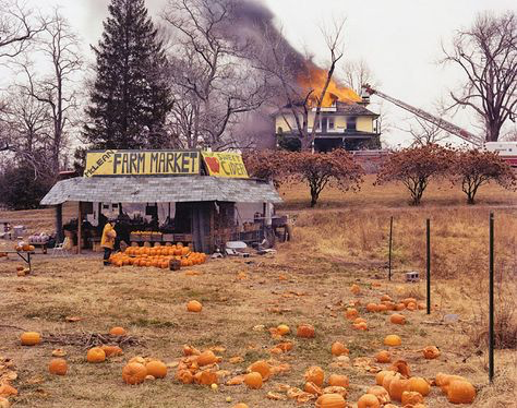 Joel Sternfeld
