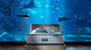 Ever Wonder What It’s Like to Spend The Night Under the Sea?